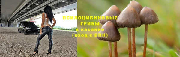 каннабис Михайловка