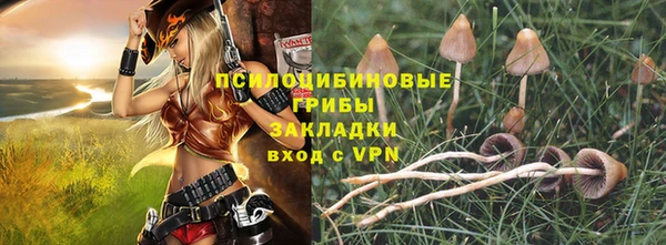 гидра Михайлов