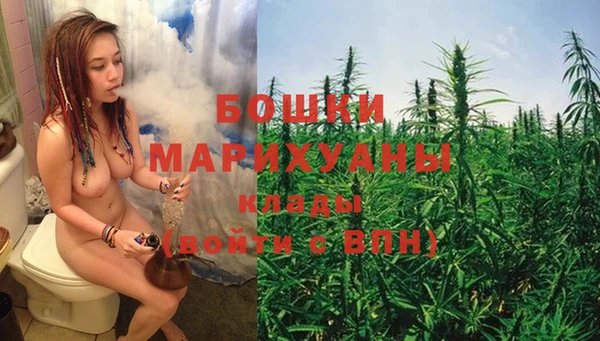 гидра Михайлов