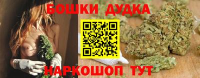 Альфа ПВП Нальчик