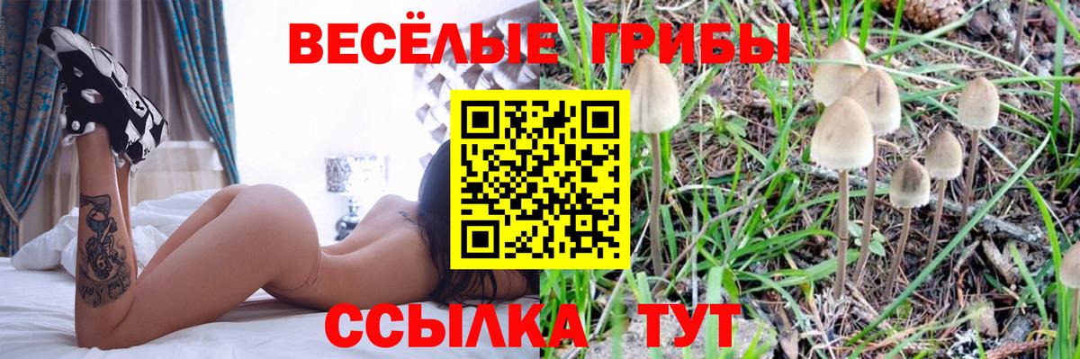 Галлюциногенные грибы Cubensis Усть-Илимск