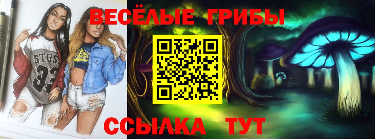 наркошоп  Вход с VPN  Усть-Илимск  Галлюциногенные грибы мухоморы 